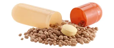 ferro sanol® Kapseln 
