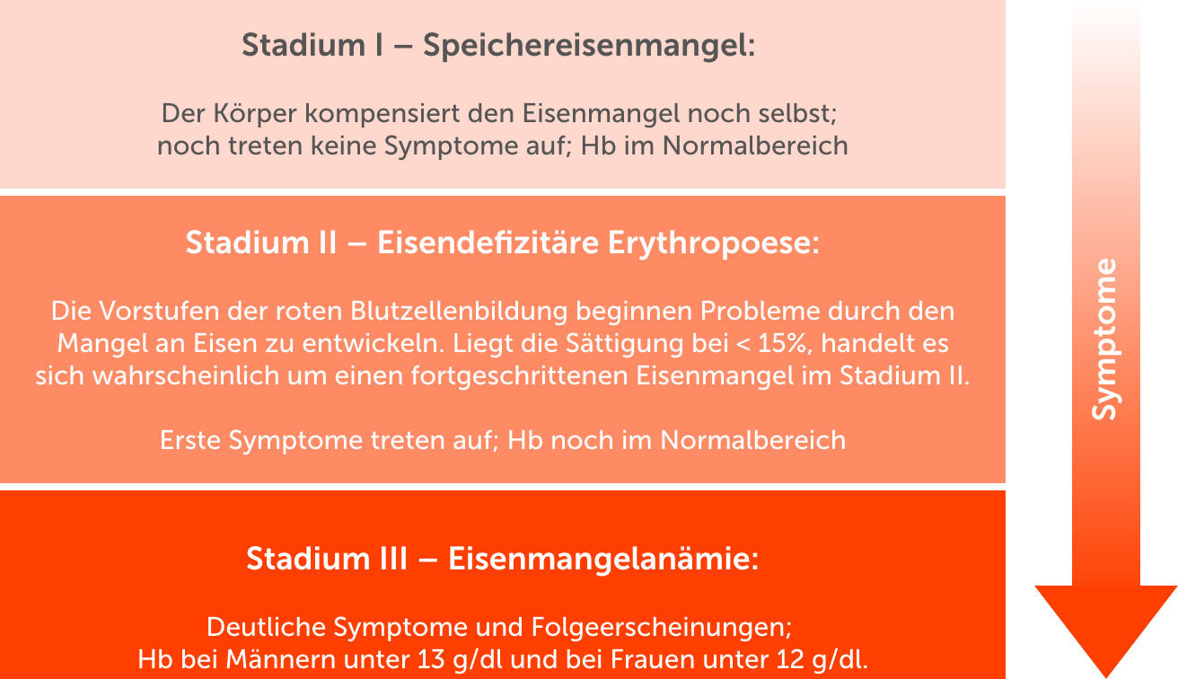 Eisenmangel entwickelt sich oft schleichend. Zu Beginn einer Unterversorgung kann der Körper den Mangel noch selbst kompensieren und ausreichend Hämoglobin produzieren. Daher treten im Stadium I noch keine Symptome auf . Erst im Stadium II kommt es zu ersten Anzeichen eines Eisenmangels, obwohl die Hämoglobin-Werte auch hier noch im Normalbereich liegen. Im Stadium III sind deutliche Symptome und Folgeerscheinungen spürbar. Der Hb-Wert liegt nun unterhalb des Normwertes.