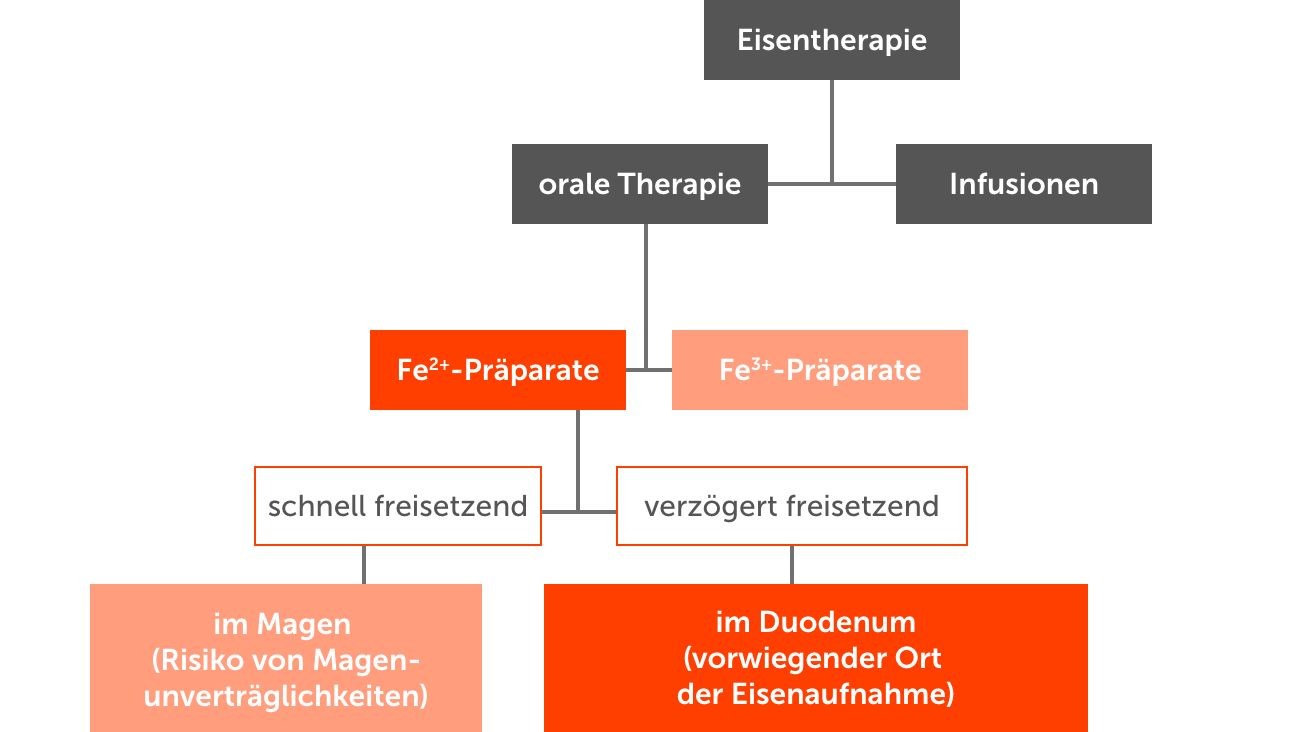 Möglichkeiten der Eisentherapie